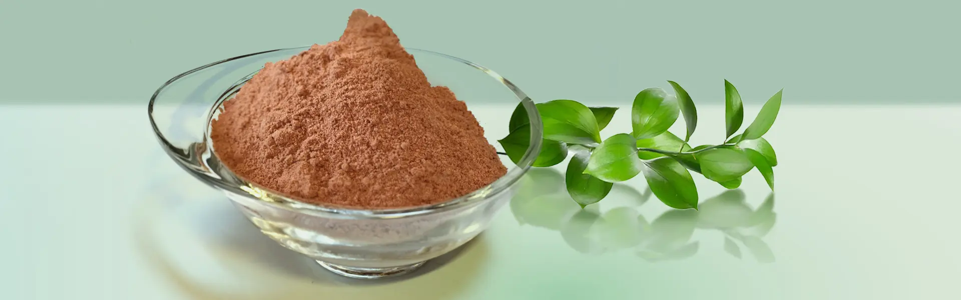 Butchers Broom Extract
