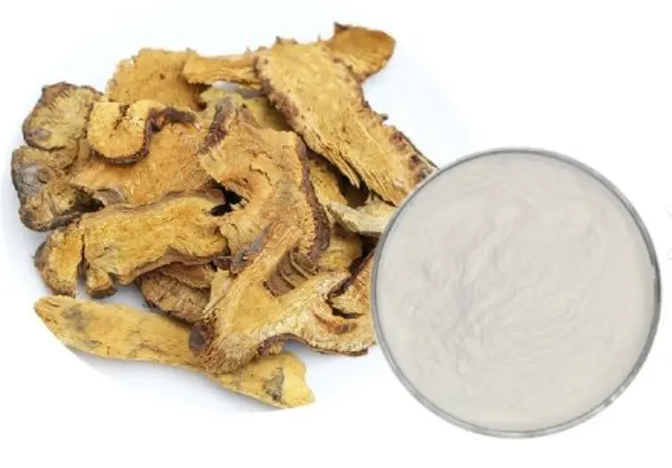 Polygonum Cuspidatum Extract Resveratrol