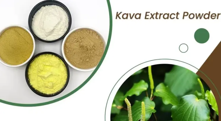 kava extract kavalactones