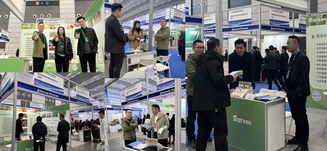 WISF exhibitions highlights