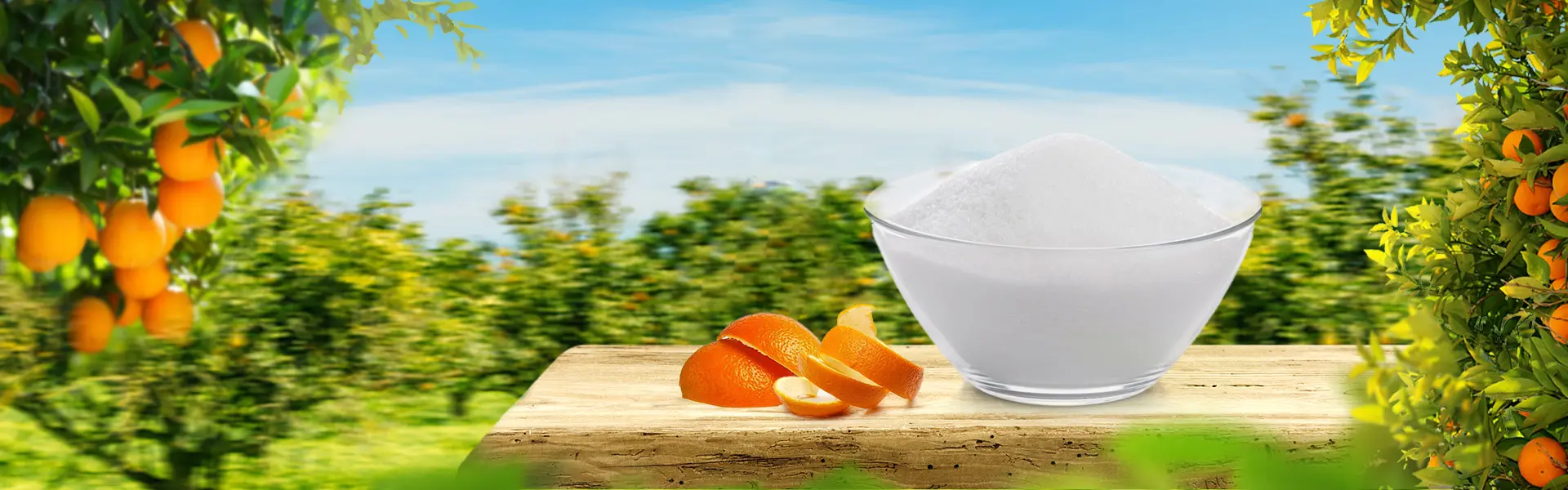 Hesperidin Powder