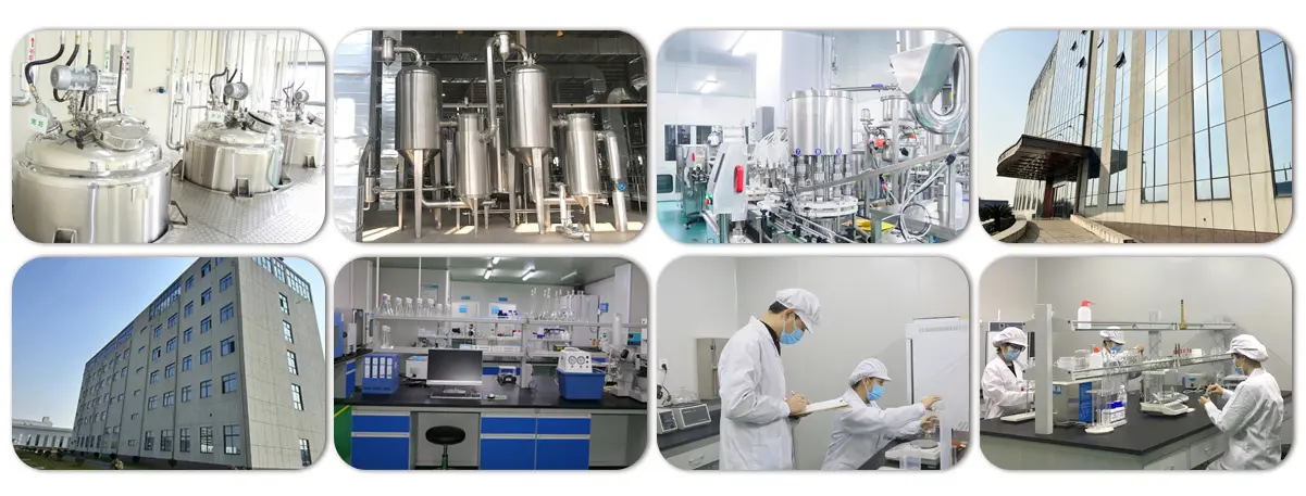 sost factory