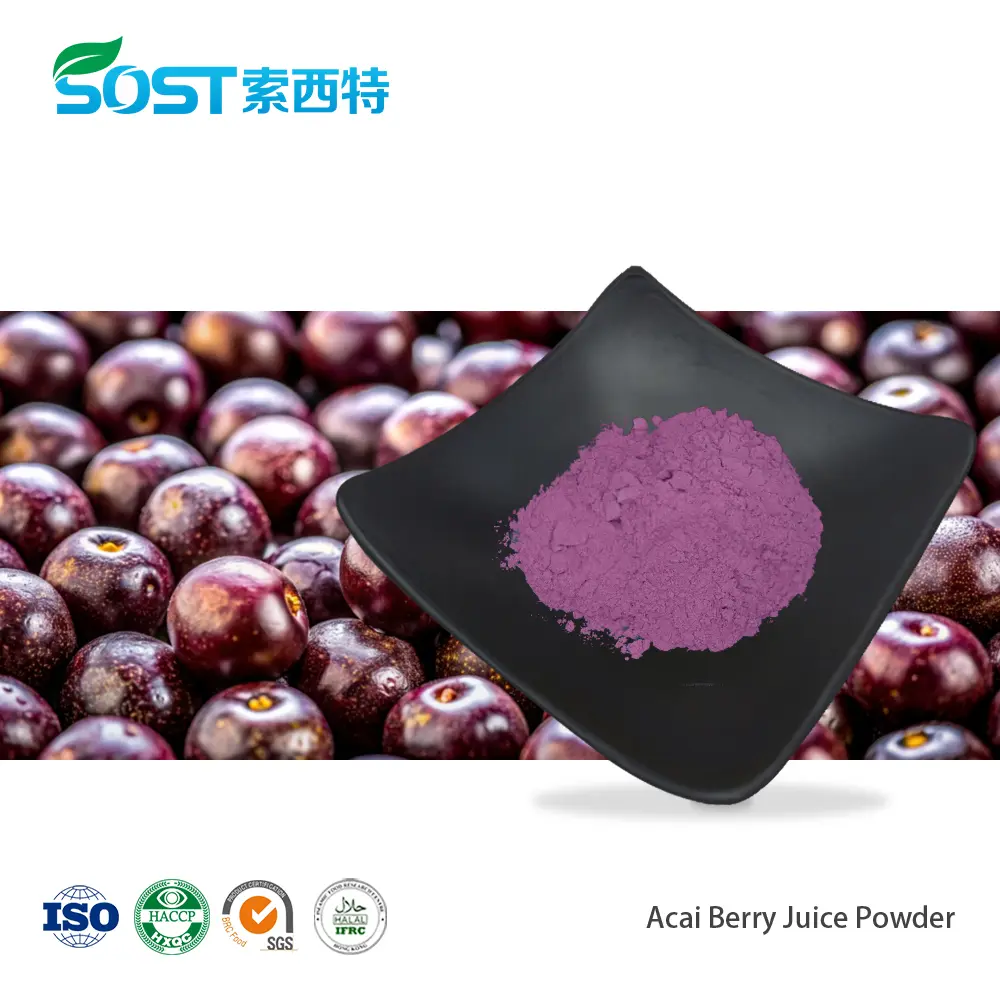 Acai Berry Juice Powder