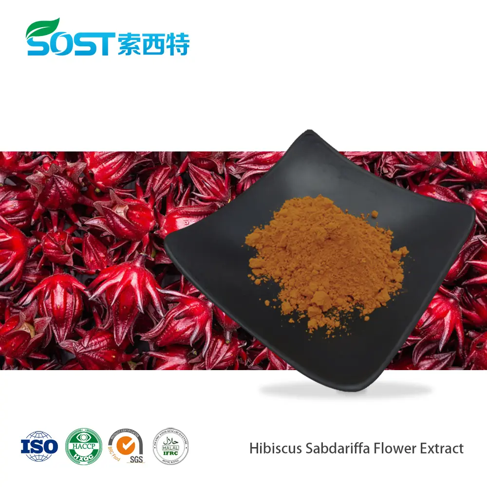 Hibiscus Sabdariffa Flower Extract.jpg