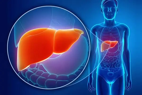 What is L-leucine used for?