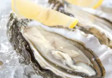 Oyster Peptide: A Natural Solution for Male Sexual Function
