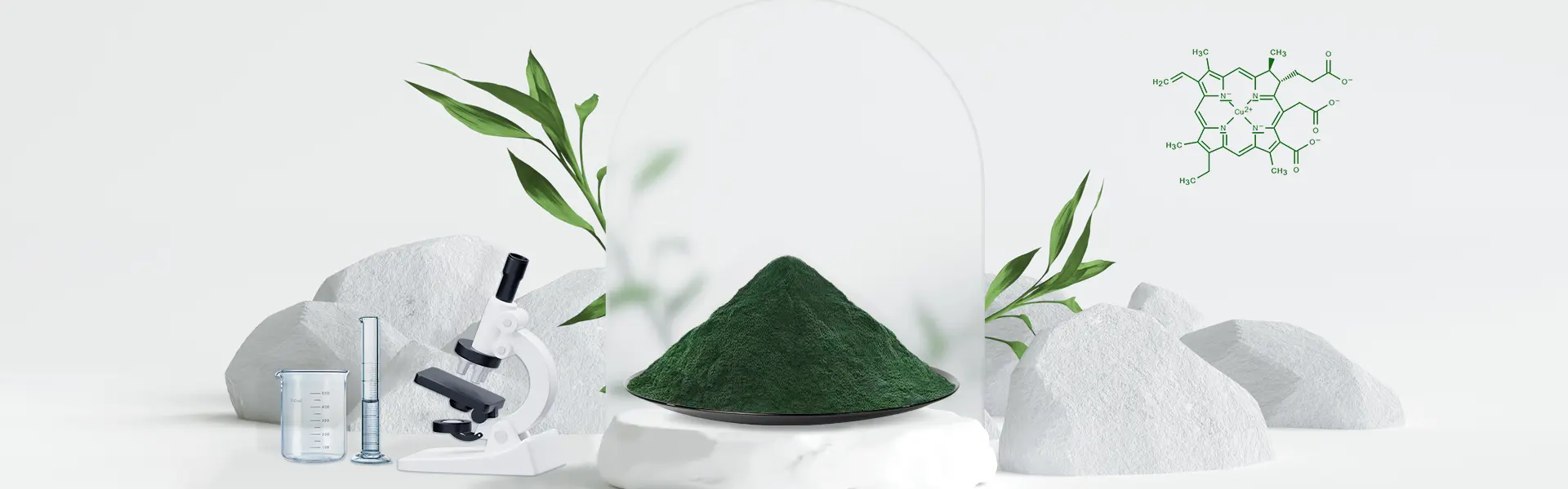 Sodium Copper Chlorophyllin