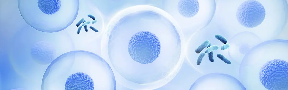Podophyllin Resin