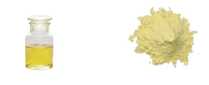 vitamin a retinol