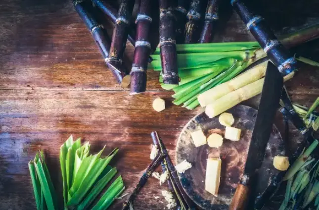 Sugarcane extract Octacosanol powder