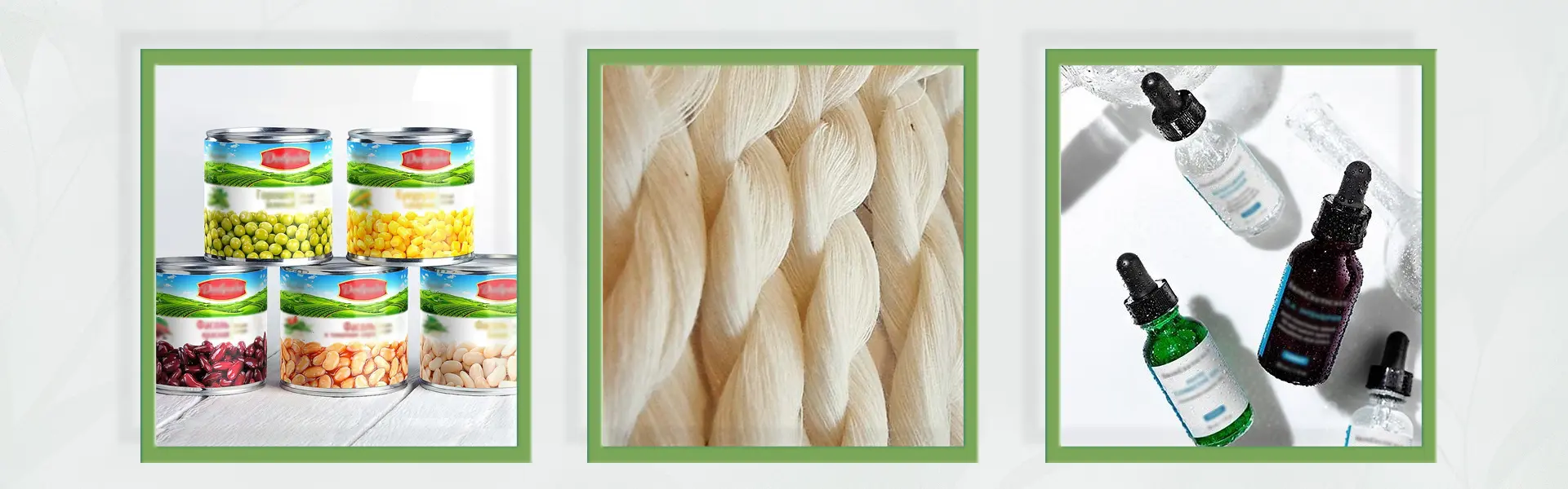 Sodium Copper Chlorophyllin