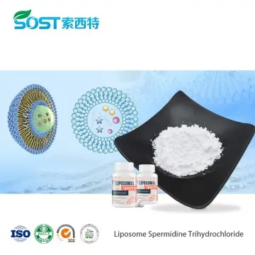Liposome Spermidine Trihydrochloride