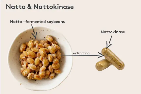 nattokinase material