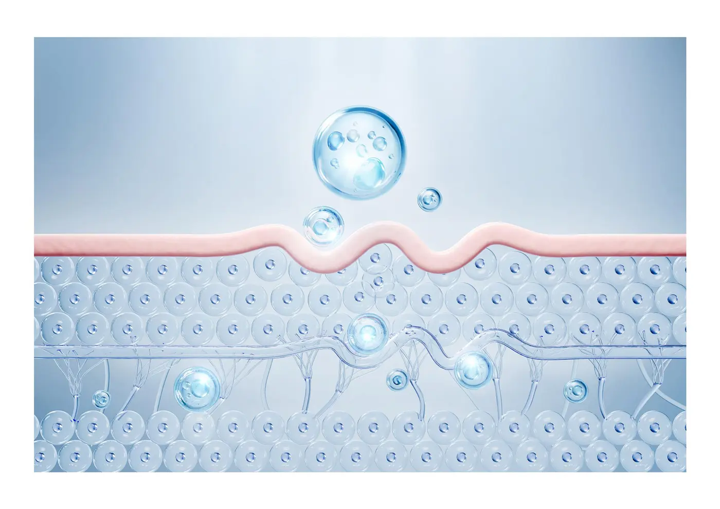 product-description2hcb
