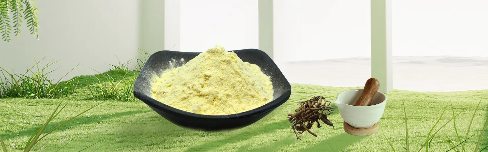 Kava Extract 30% Kavalactones