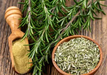 What Is Rosmarinic Acid Good For?