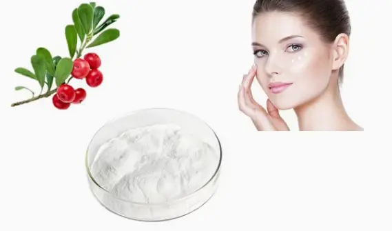 alpha arbutin powder
