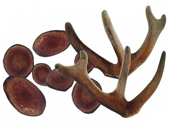 Pure Natural Deer Antler Velvet Extract