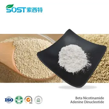 Beta Nicotinamide Adenine Dinucleotide Disodium Salt