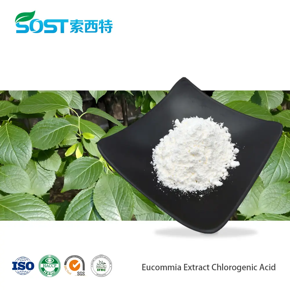 杜仲提取物 绿原酸Eucommia Extract Chlorogenic Acid.jpg