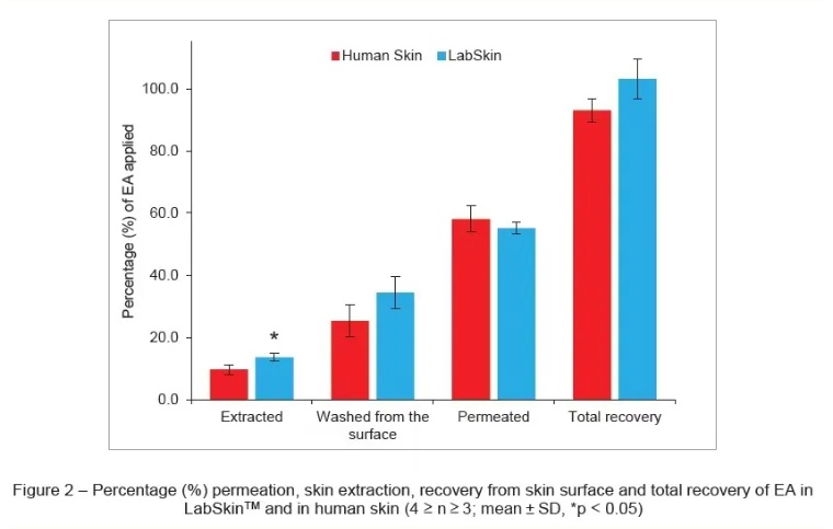 3-O-Ethyl-L-ascorbic acid research