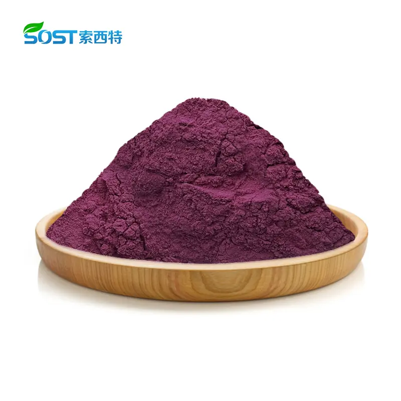 Blueberry Extract Anthocyanins