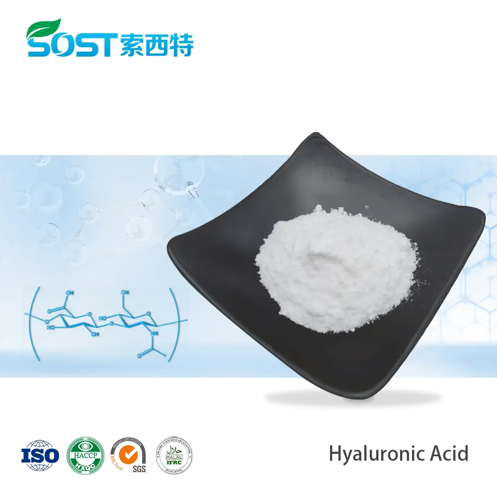 Sodium Hyaluronate Powder