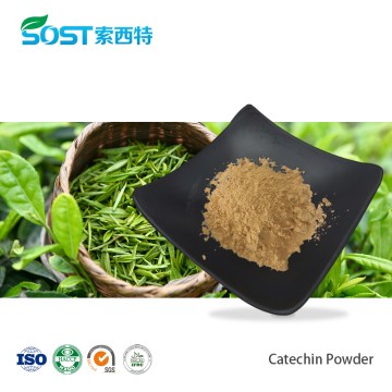 Catechin Powder