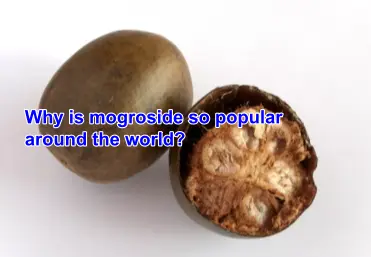 Why is mogroside so popular around the world?