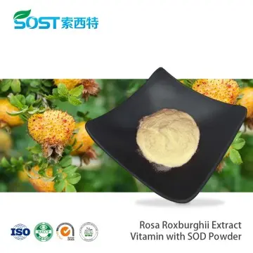 Rosa Roxburghii Extract Vitamin with SOD Powder