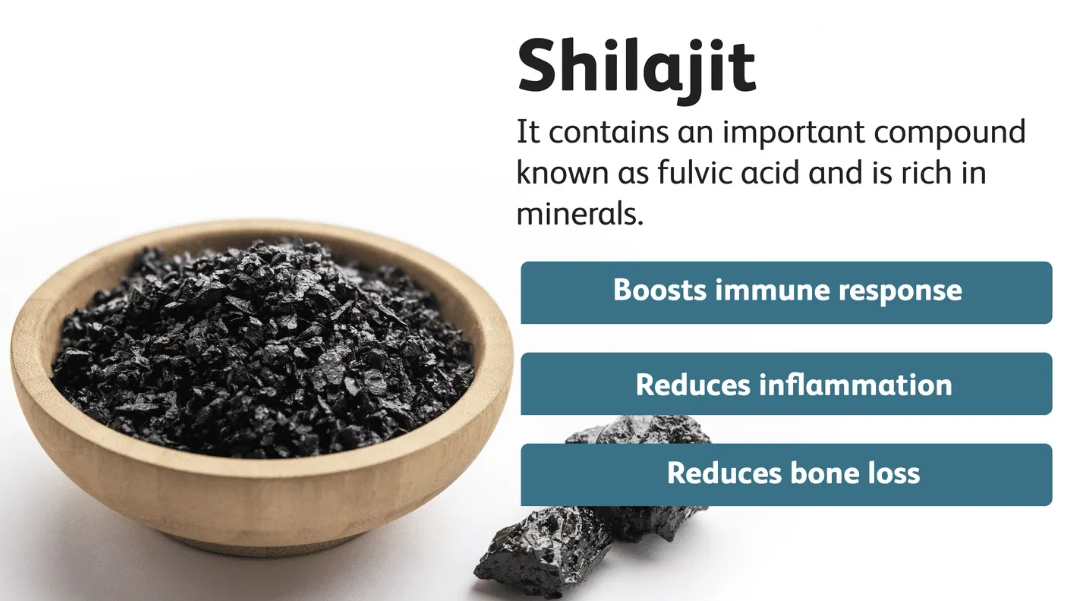 shilajit benefits