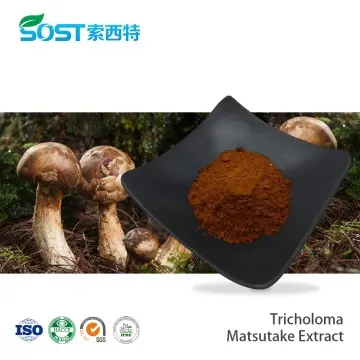 Tricholoma Matsutake Extract