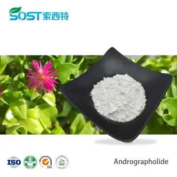 Andrographolide 98% Wholesale Natural