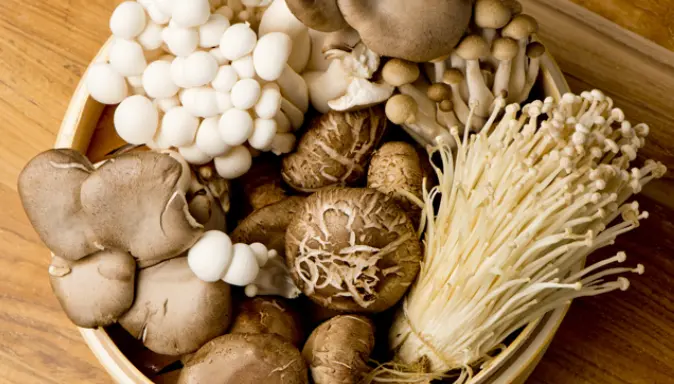 mushroom beta glucan