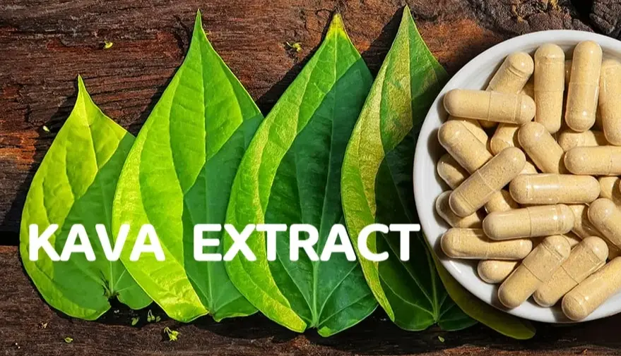 kava extract caspules