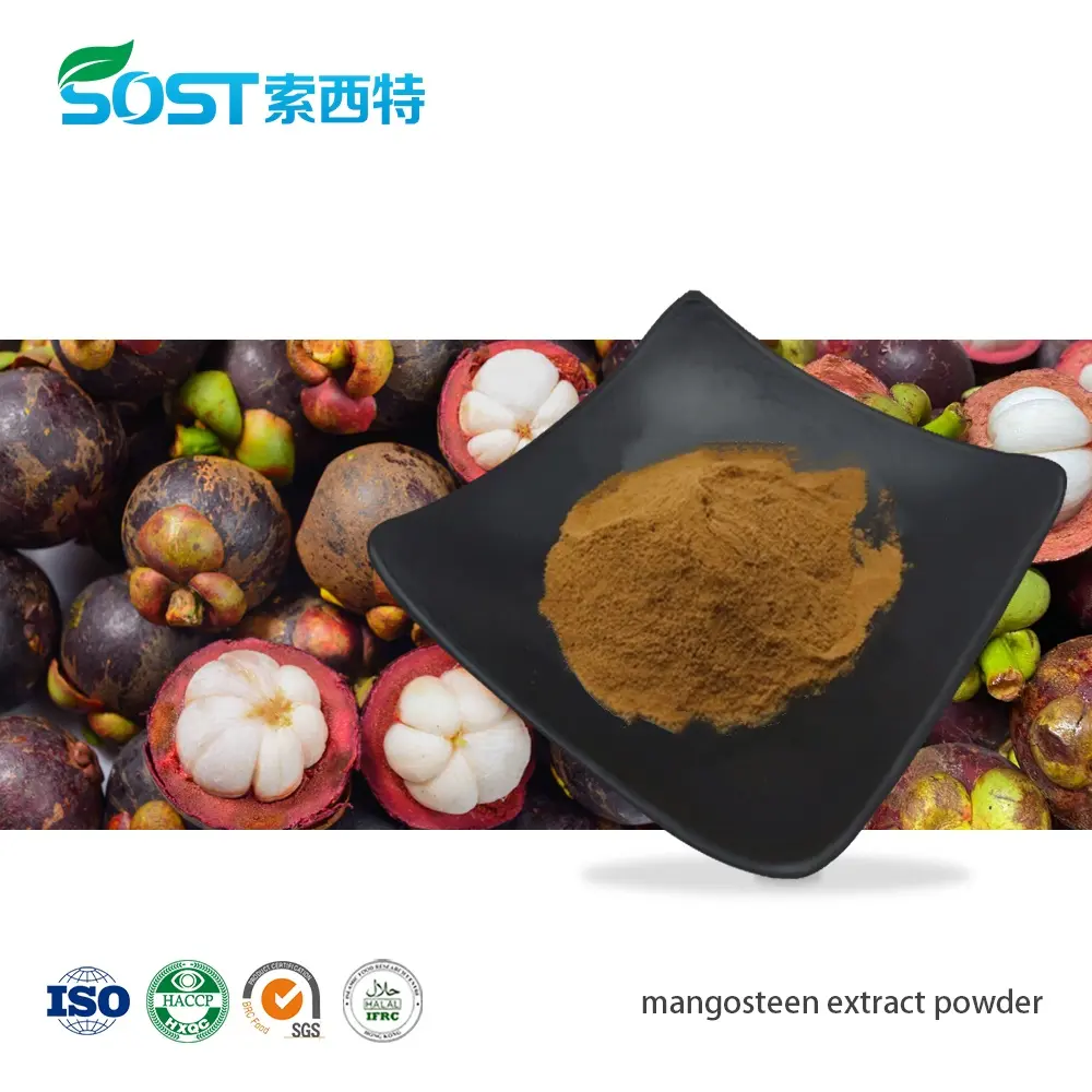 mangosteen extract powder.jpg