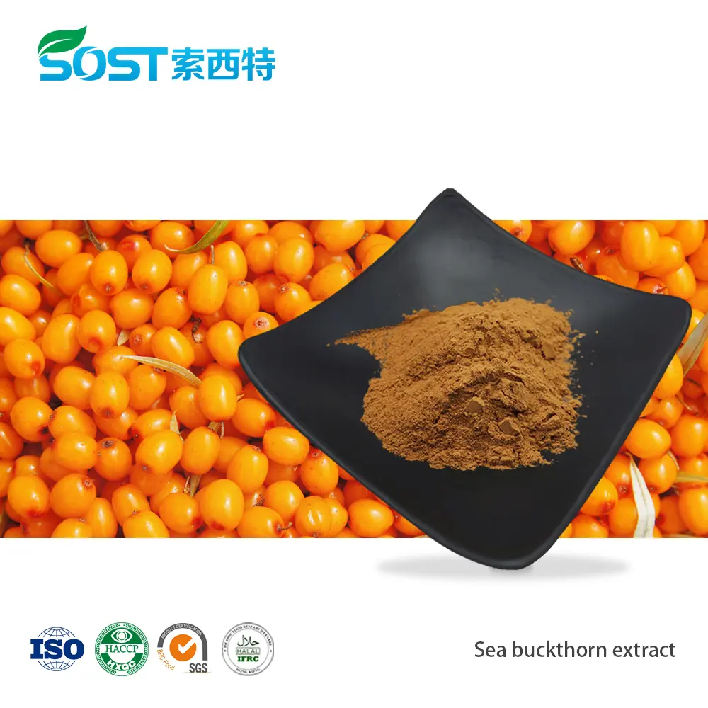 Sea buckthorn extract.jpg