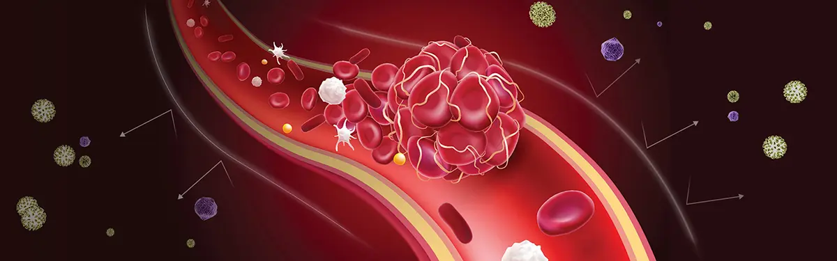 Pueraria Lobata Extract function