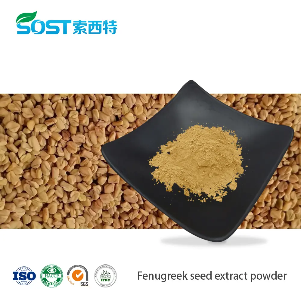 Fenugreek Seed Extract Powder