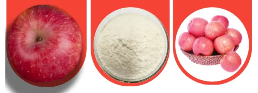 apple cider vinegar powder