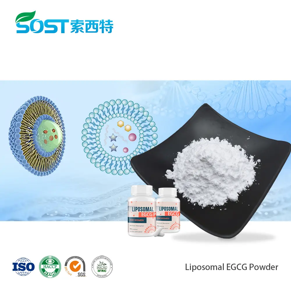 Liposomal EGCG Powder脂质体EGCG粉末.jpg
