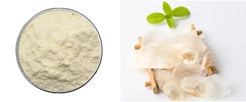 Chrysin 98% Powder