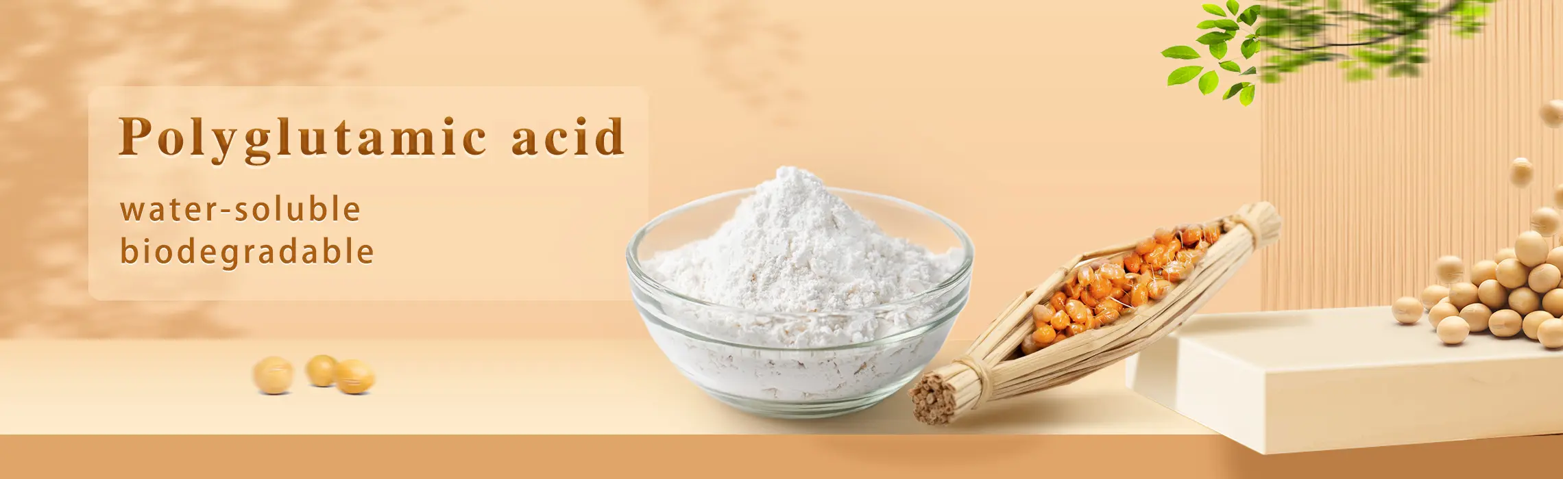 Sodium Polyglutamate Ingredient factory